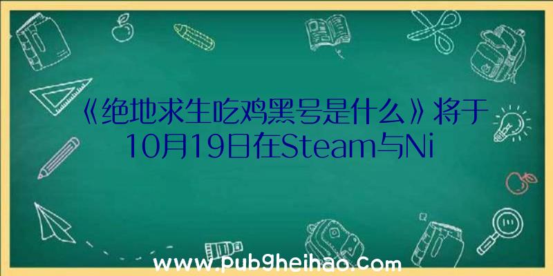 《绝地求生吃鸡黑号是什么》将于10月19日在Steam与Nintendo